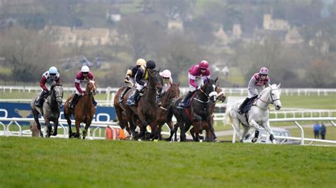 cheltenham festival free bets|Best 2024 Cheltenham Festival Free Bets .